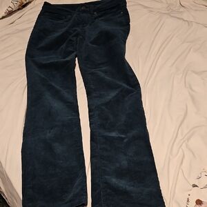 Patagonia Teal Green Corduroy Pants